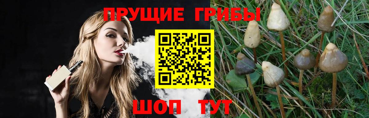 Вичуга  Псилоцибиновые грибы ЛСД  Вход с VPN  Галлюциногенные грибы мицелий 